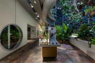 ویترین‌های نمایشگاهی در سیاره سبز دبی