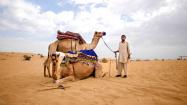 شترسواری در ذخیره گاه حفاظت شده بیابان دبی