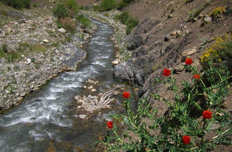 رودخانه تار با گل های قرمز در حاشیه آن