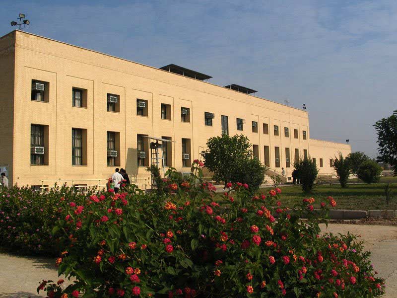 دانشگاه علوم پزشکی جندی شاپور اهواز