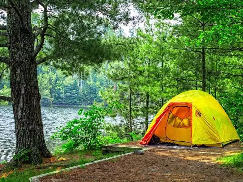 چادر زرد کمپ کنار دریاچه میان جنگل