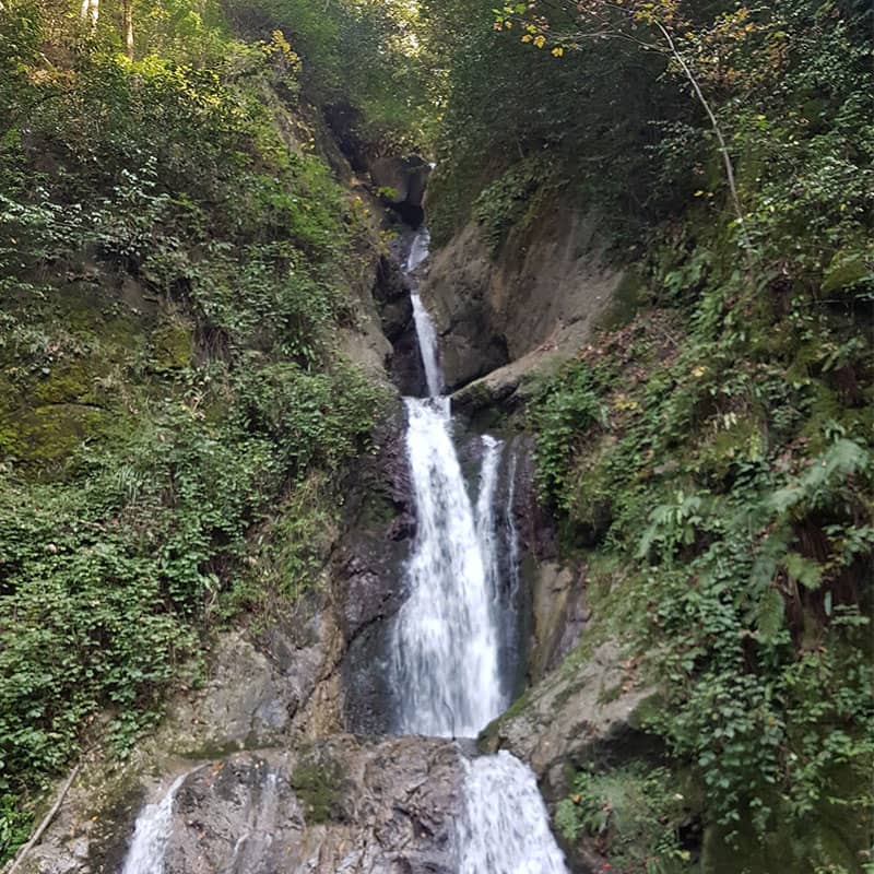 آبشاری دو طبقه در منطقه ای جنگلی