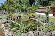 فضاهای گوناگون  باغ گیاه شناسی ریو دوژانیرو