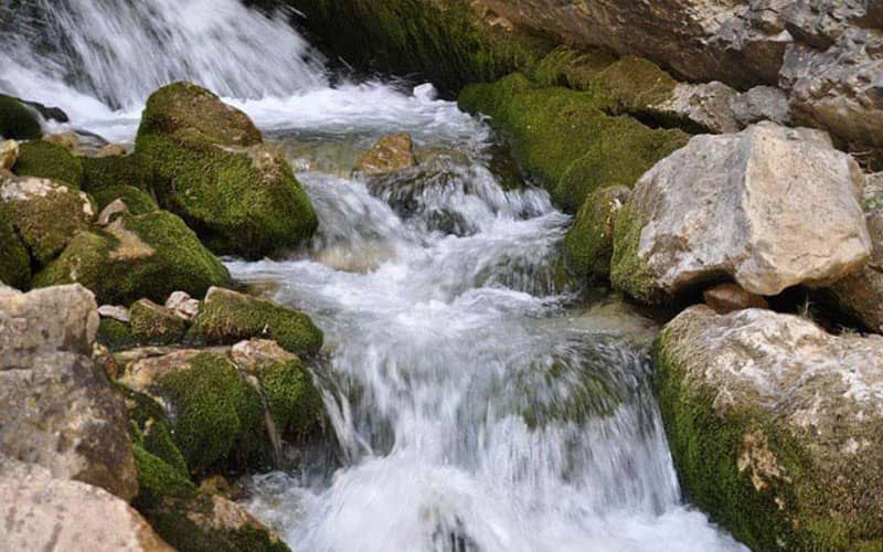 جریان آب رودخانه‌ در میان سنگ‌های خزه بسته