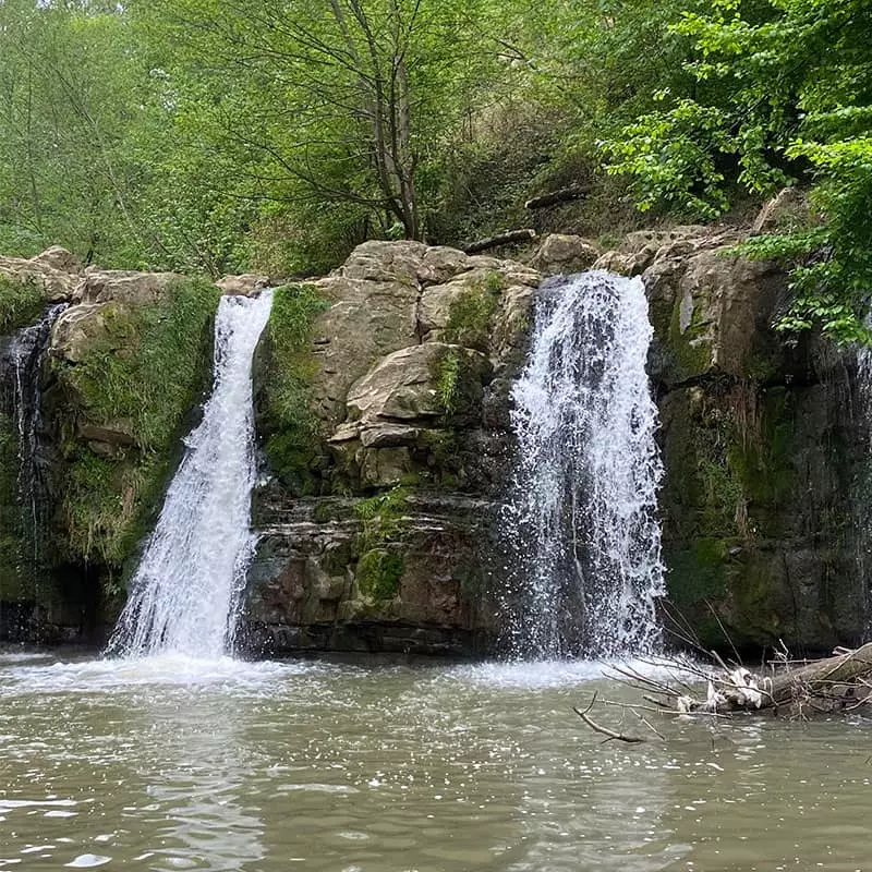 دو آبشار کوتاه در منطقه ای سرسبز