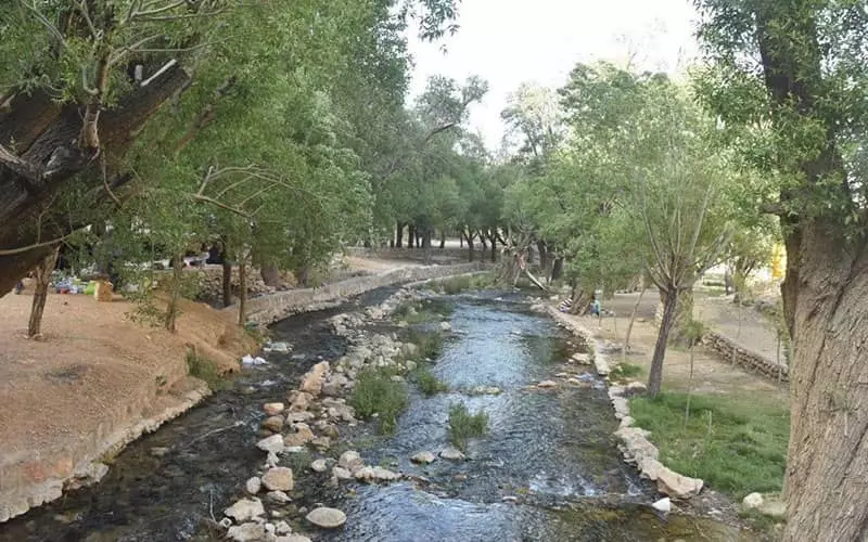 رودخانه ای پرآب در میان دارودرختان