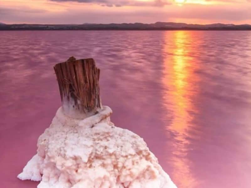 کوهی نمکی در دریاچه ای صورتی رنگ 