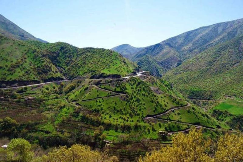 جاده کوهستانی و سرسبز روستای هجیج از نمای بالا