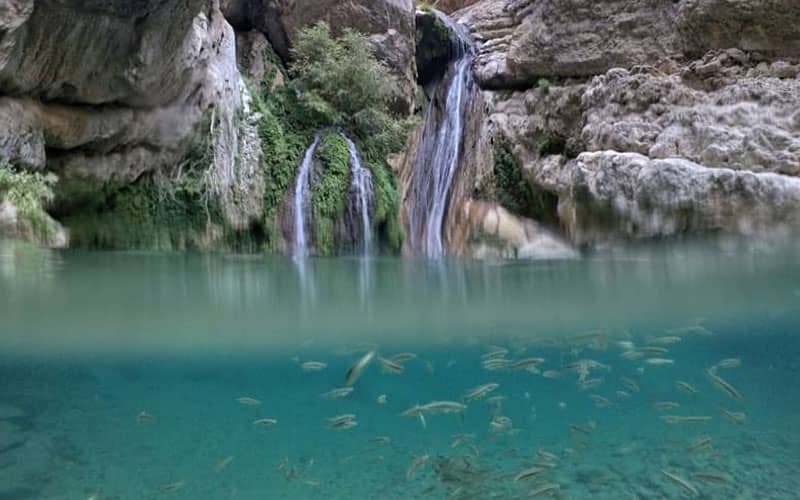 حوضچه آب مملو از ماهی در زیر آبشار