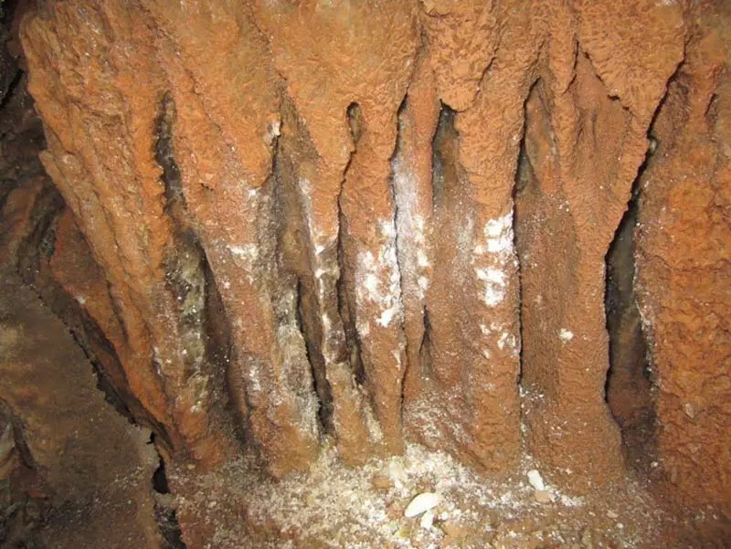 سنگواره های داخل غار نباتی ندوشن به شکل قندیل