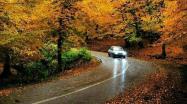 جاده بارانی اسالم به خلخال با درختان پاییزی