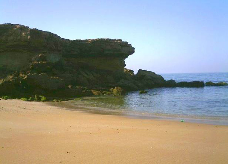 ساحل رمین با صخره پوشیده از خزه