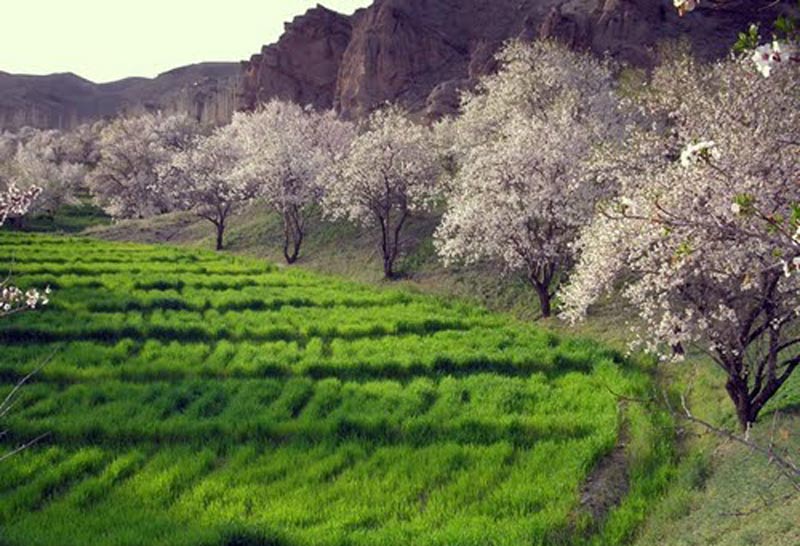 روستای زیبای حصار در بهار با درختان پر شکوفه