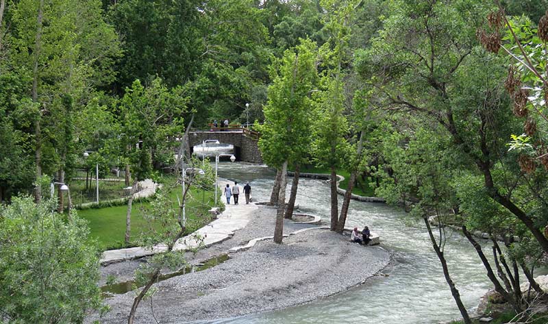 درختان سرسبز و مسیر داخل پارک جنگلی وکیل آباد مشهد