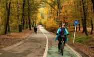 دوچرخه سوار زن در پارک جنگلی النگدره
