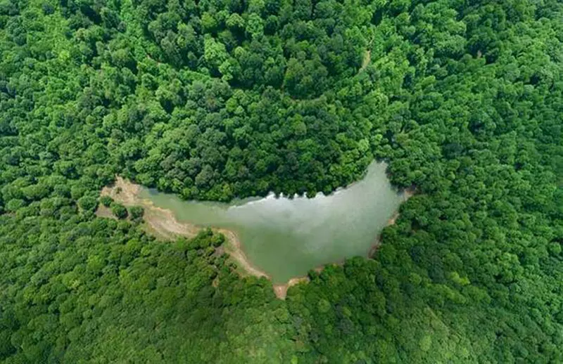 دریاچه چورت در میان جنگل‌های انبوه مازندران