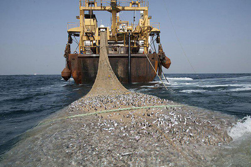 صید ترال در خلیج فارس