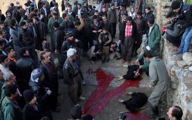 مراسم قربانی کردن در جشن پیر شالیار