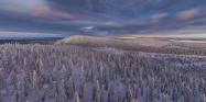 طبیعت زمستانی لاپبند فنلاند