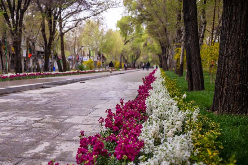 گل‌های بهاری در خیابان چهارباغ عباسی 