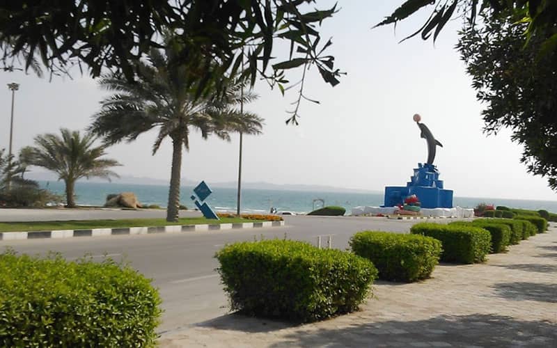 پارکی ساحلی در قشم با مجسمه دلفین