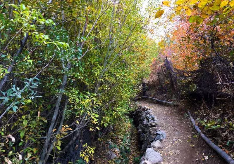 مسیر دسترسی به روستای شکرآب از روستای آهار