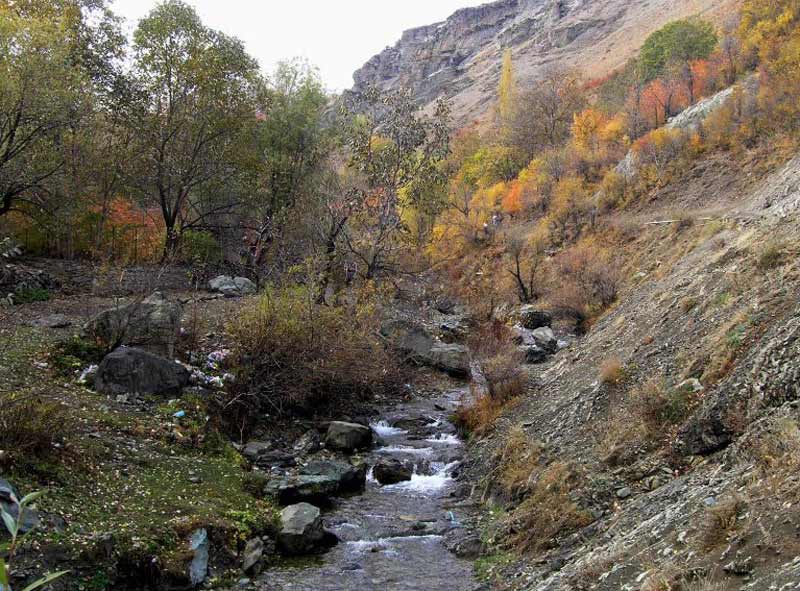 طبیعت زیبا و رودخانه شکرآب در روستای آهار تهران