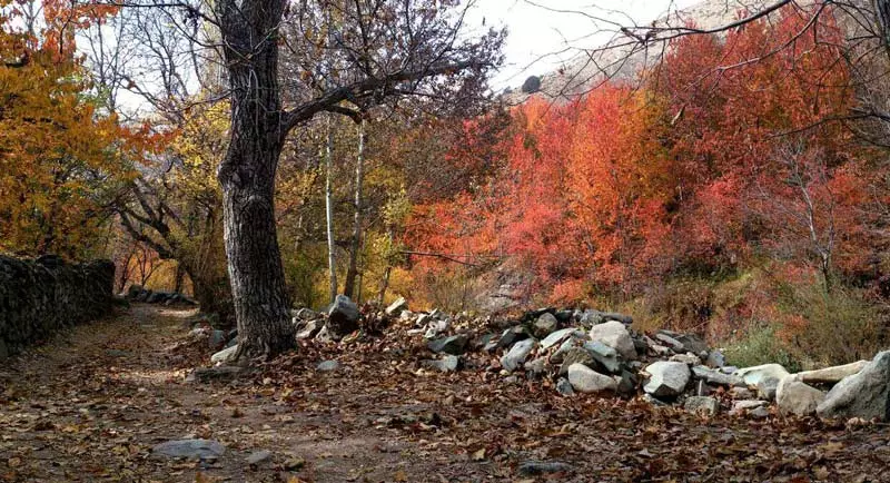 طبیعت رنگارنگ پاییزی در روستای آهار
