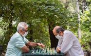 شطرنج بازی در پارک قیطریه