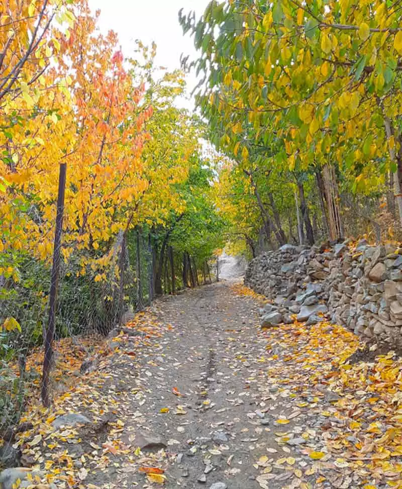 جاده روستایی آهار در پاییز