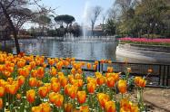 پارک ییلدیز  در بهار