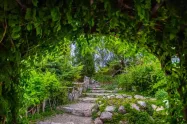 راهروی سبز باغ گل‌های اصفهان