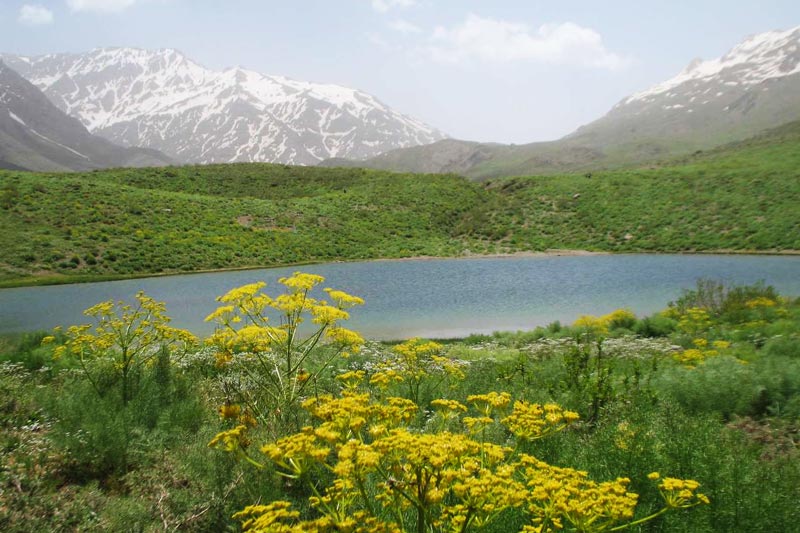 دریاچه کوه گل یاسوج در بهار