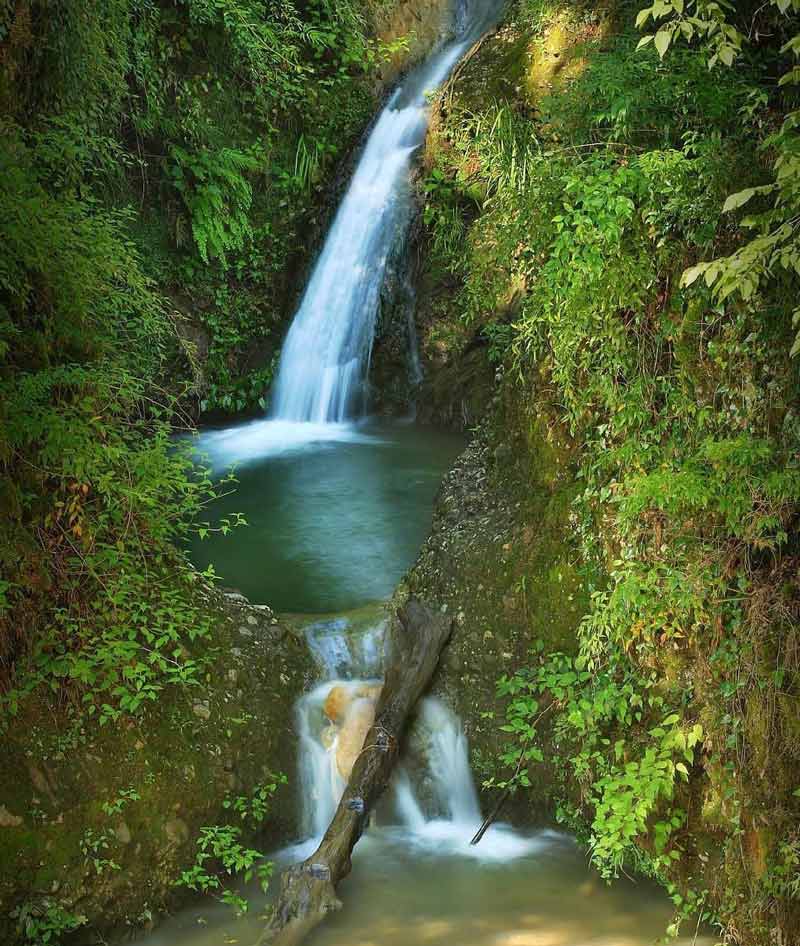 آبشار پلنگ دره در میان درختان و بوته های سبز جنگل پلنگ دره