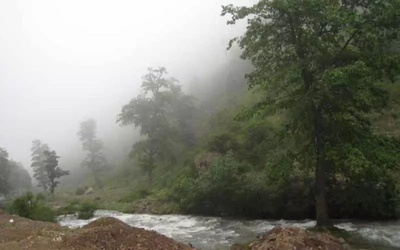 عبور رودخانه در جنگل مجل با مه فراوان