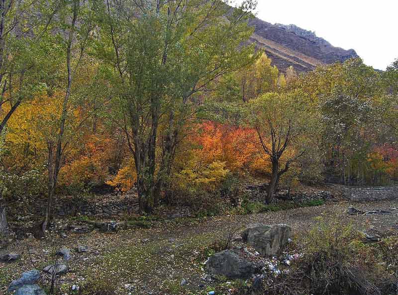 طبیعت پاییزی رنگارنگ در روستای آهار