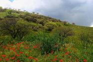 طبیعت بکر پارک ملی خجیر