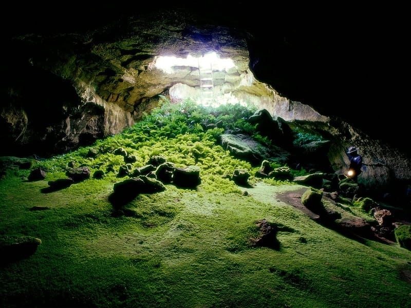 غار اوپتیمیس تیچنا