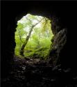 طبیعت سبز غار آویشو