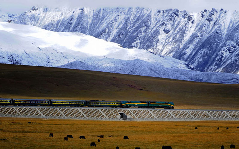 عبور قطار از دامنه کوهستان چین