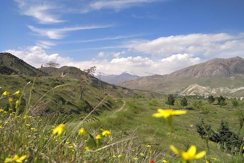 بهار در پارک ملی خجیر