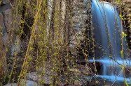 آبشار دیدنی پارک آبشار تهران