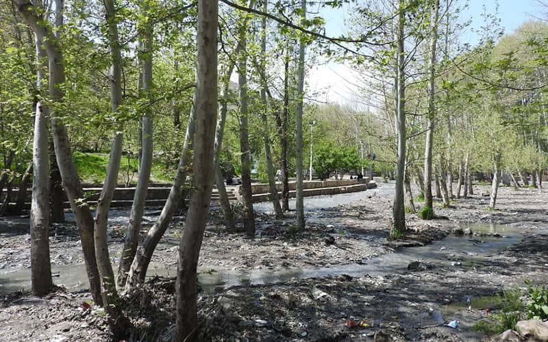 جریان رودخانه در پارک جنگلی پردیس شاندیز