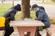 مردان شطرنج‌باز در پارک پلیس