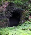 چشم انداز جنگلی غار آویشو