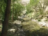 ابتدای مسیر دسترسی به آبشار هفت چشمه