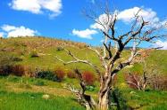 چشم‌اندازهای دیدنی در پارک ملی خجیر