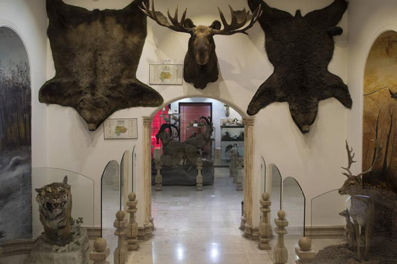 سالن آمریکای شمالی در موزه طبیعت و حیات وحش دارآباد