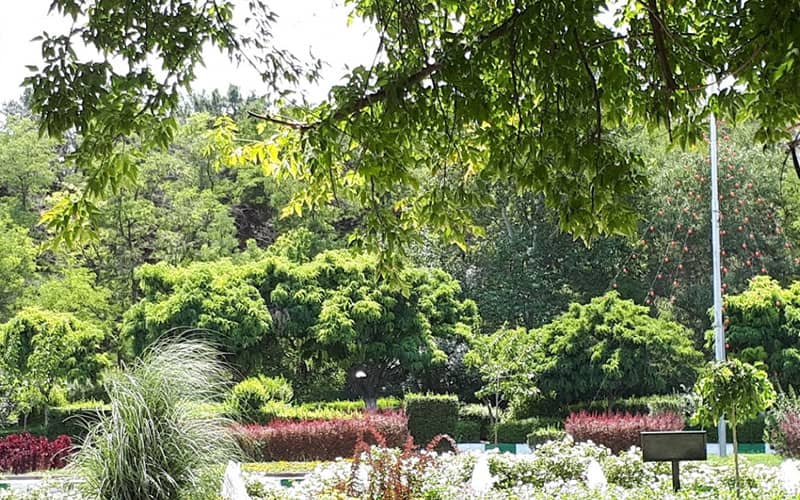 پارک جنگلی طرق با انواع درخت و گیاه در مشهد