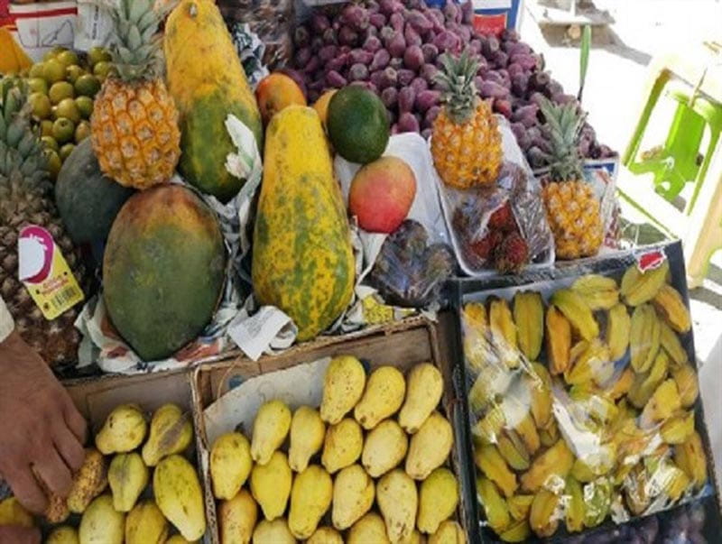 میوه های گرمسیری سیستان و بلوچستان